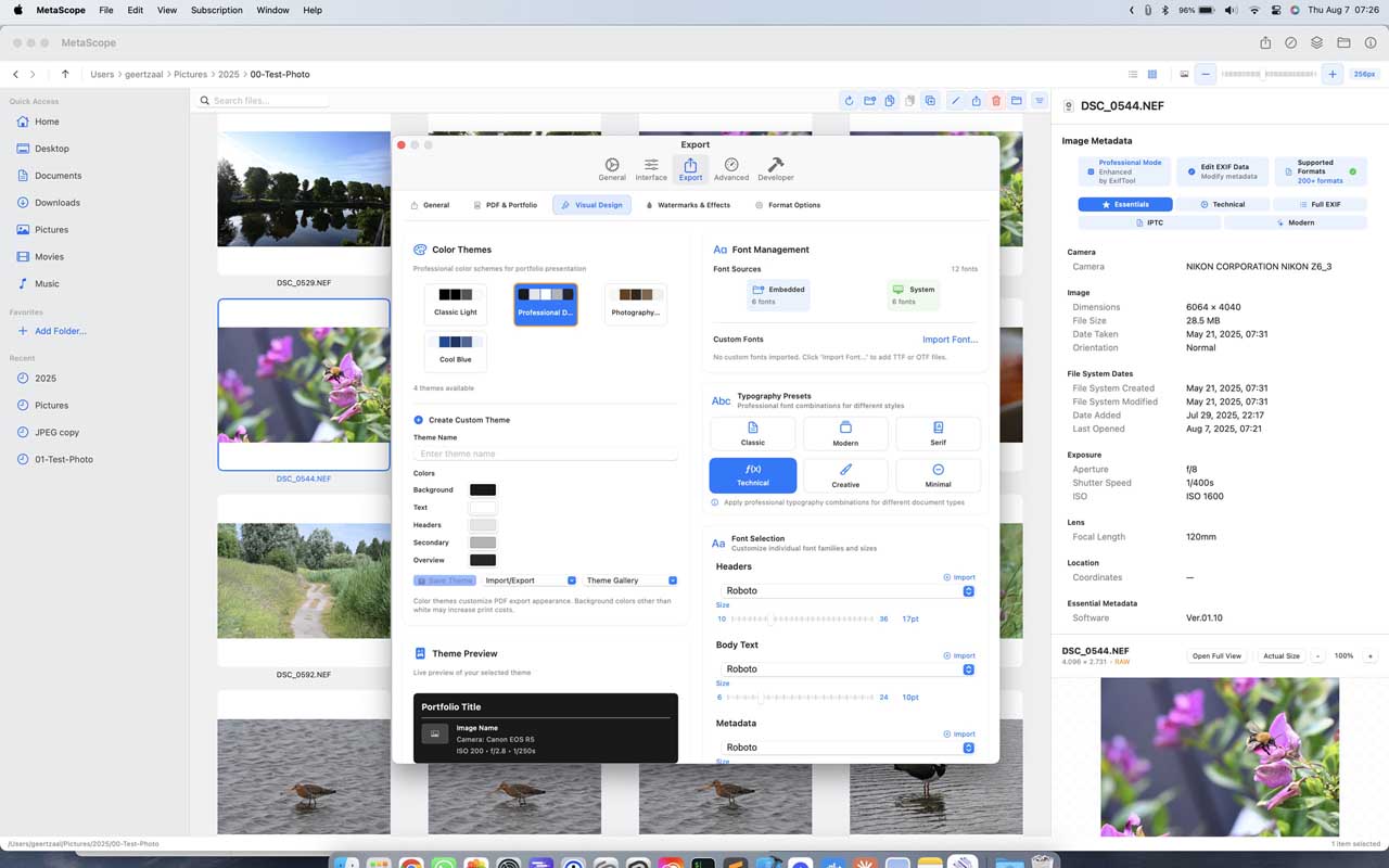 MetaScope batch processing interface