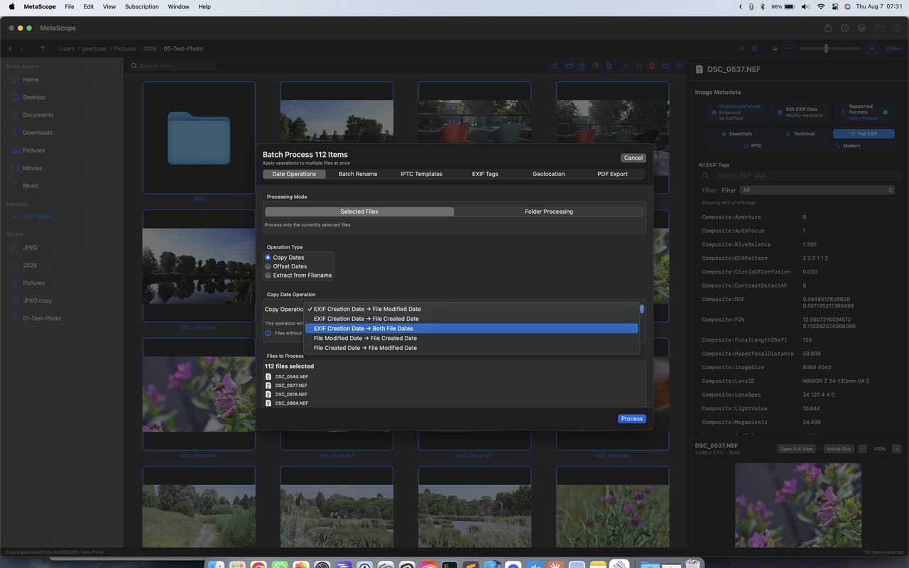 MetaScope export options
